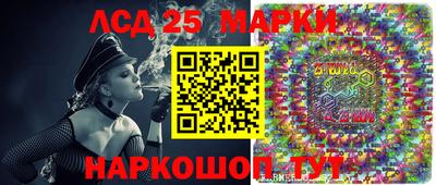 шишки Берёзовский