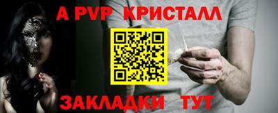 шишки Берёзовский