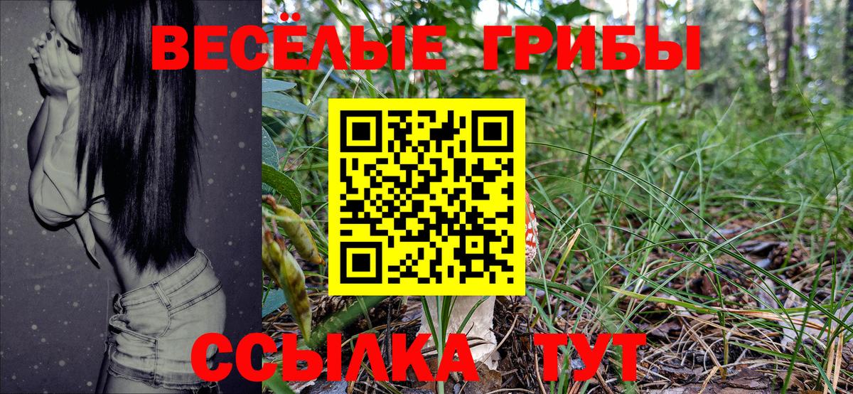 Галлюциногенные грибы Cubensis Выборг